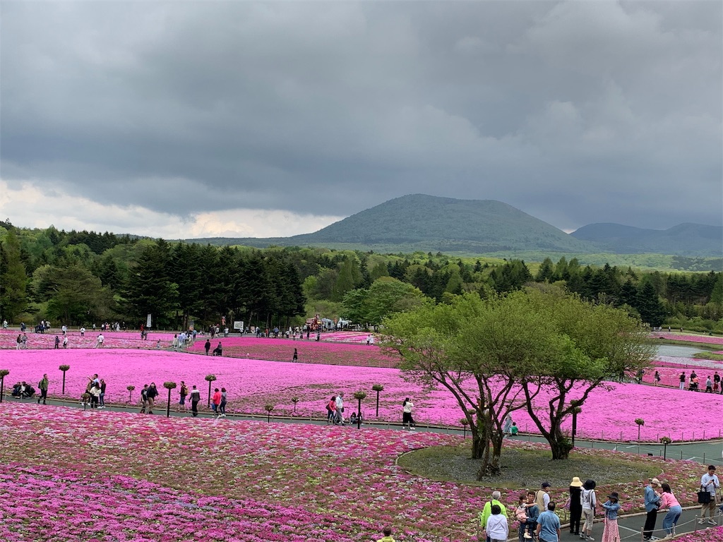 f:id:gossyan510:20190518193602j:image f:id:gossyan510:20190518193602j:image