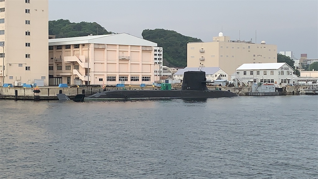 f:id:gossyan510:20190608174149j:image