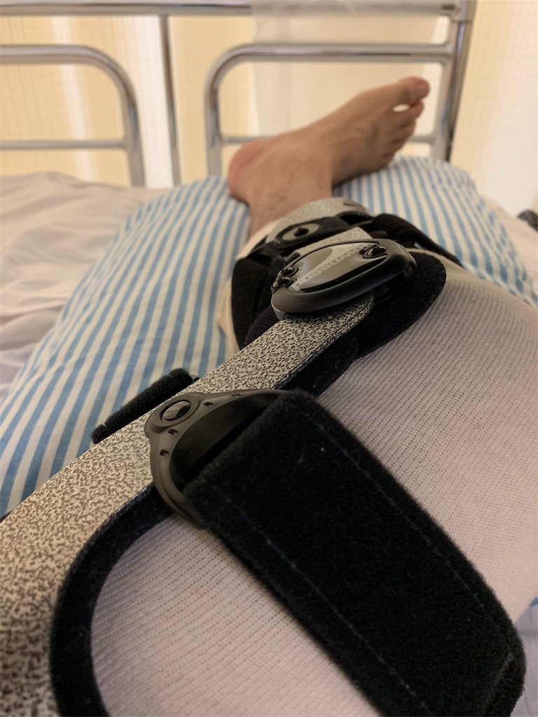 f:id:gossyan510:20190803072559j:image f:id:gossyan510:20190803072559j:image