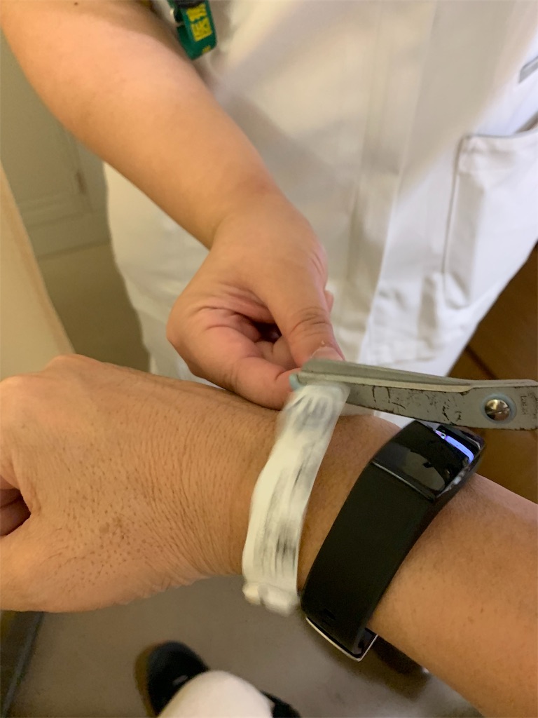 f:id:gossyan510:20190810144017j:image f:id:gossyan510:20190810144017j:image