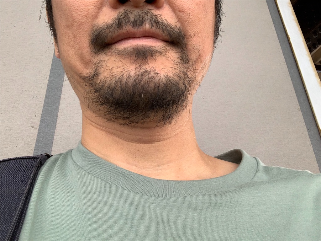 f:id:gossyan510:20190810144023j:image f:id:gossyan510:20190810144023j:image