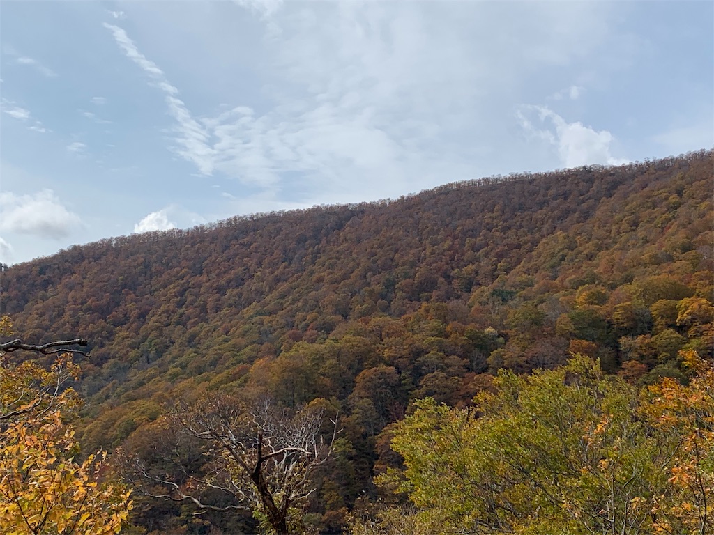 f:id:gossyan510:20191028132919j:image