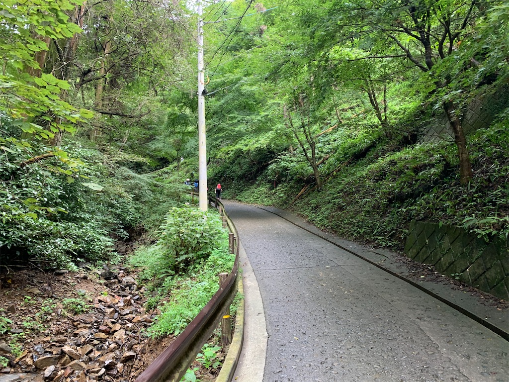 f:id:gossyan510:20200913194346j:image