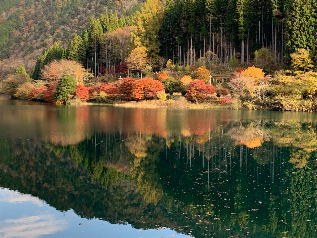 f:id:gossyan510:20211116213859j:image