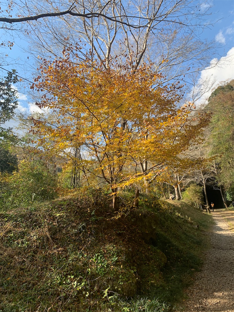 f:id:gossyan510:20211117234507j:image