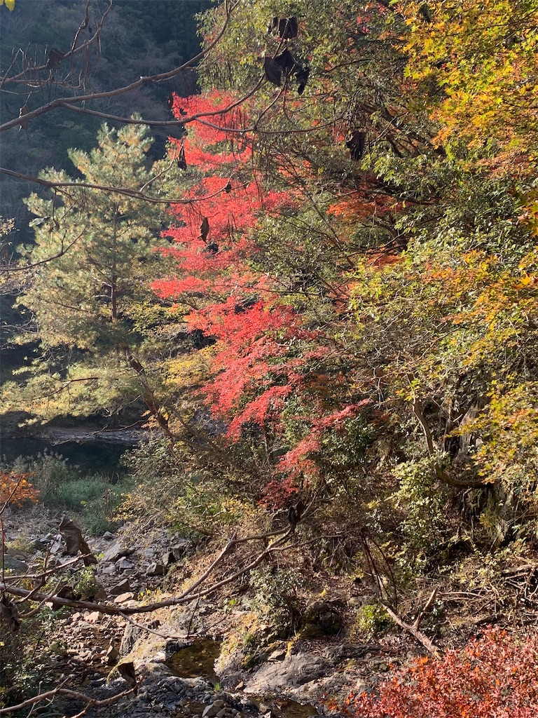 f:id:gossyan510:20211117234535j:image