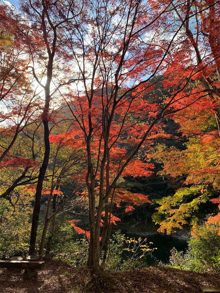 f:id:gossyan510:20211117234546j:image