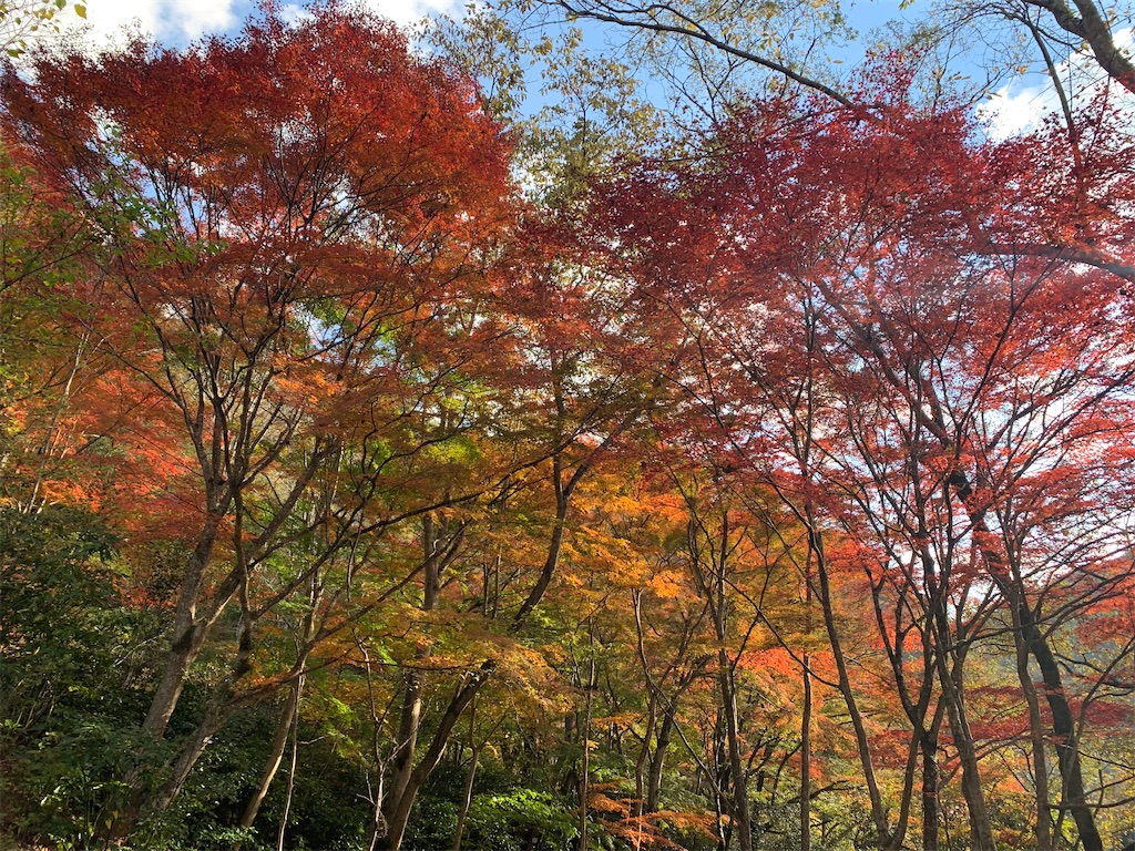 f:id:gossyan510:20211117234555j:image