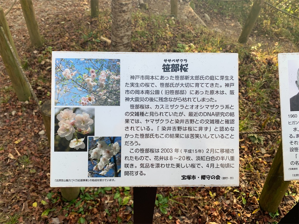 f:id:gossyan510:20211117234612j:image