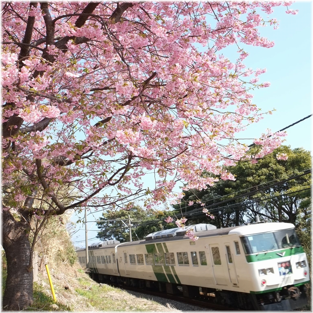 f:id:gosyuintabi:20180524225035j:plain