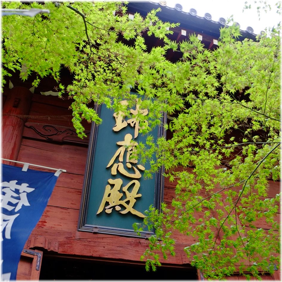 f:id:gosyuintabi:20180722233343j:plain