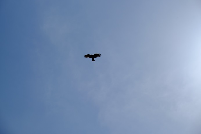 f:id:gosyuuuu:20180606005045j:plain