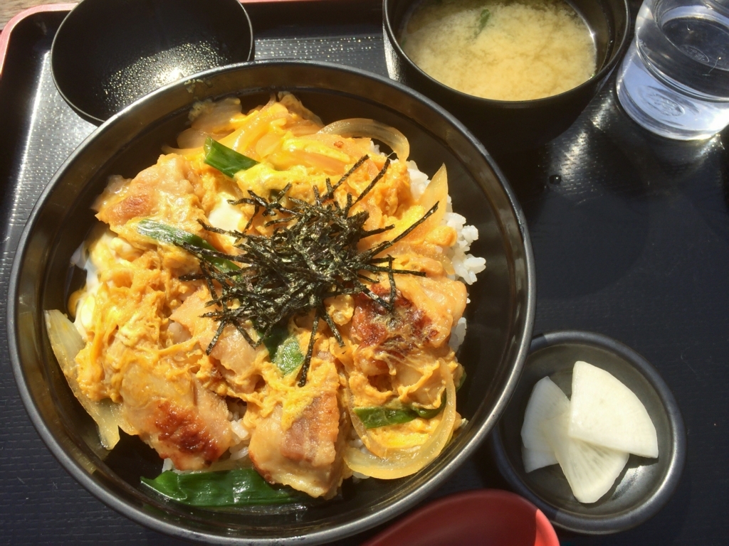 f:id:gosyuuuu:20180606011346j:plain