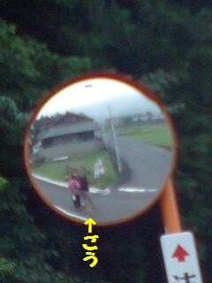 f:id:gotan:20090814071110j:image