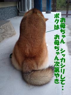 f:id:gotan:20090923073256j:image
