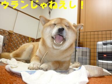 f:id:gotan:20110218213237j:image