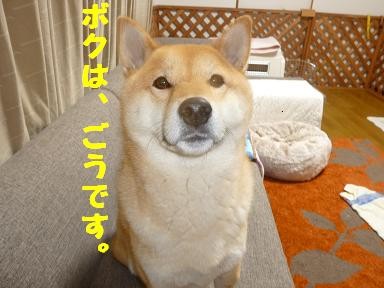 f:id:gotan:20110218213238j:image