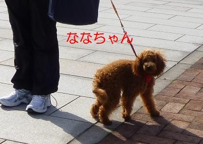 f:id:gotan:20110228155719j:image