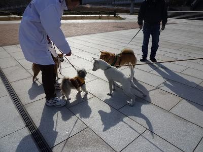 f:id:gotan:20110228155721j:image