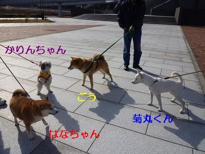 f:id:gotan:20110228155722j:image