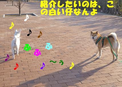 f:id:gotan:20110228155727j:image