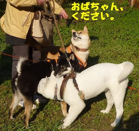 f:id:gotan:20110330233352j:image