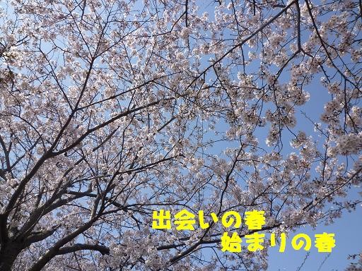 f:id:gotan:20110414221826j:image