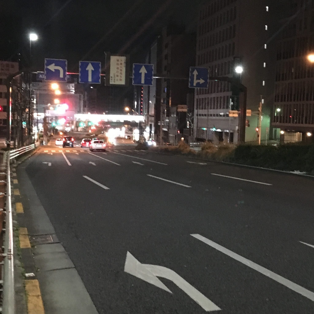f:id:gotanda-kikou:20190105213621j:plain f:id:gotanda-kikou:20190105213621j:plain