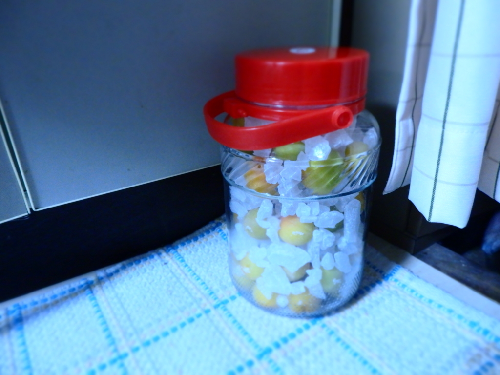 f:id:gotandakunio:20180621002406j:plain