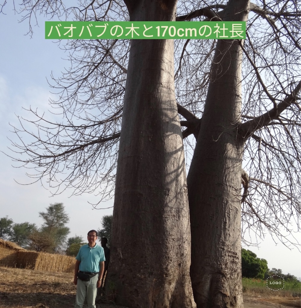 f:id:gotara:20200223003343j:image f:id:gotara:20200223003343j:image
