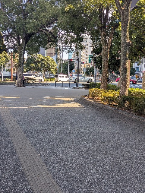 f:id:gotara:20250212174518j:image