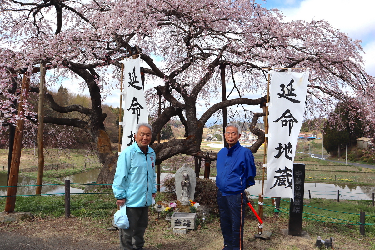 残雪の安達太良山を背景に咲く一本桜。“名もなき桜”が地域の象徴に