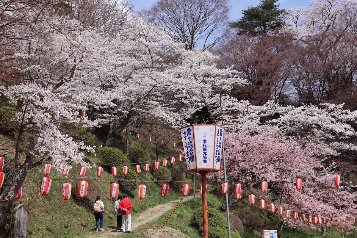 のんびりお花見♪ 福島県の「公園の桜」＜中通り編＞16選 - ふくしま桜旅