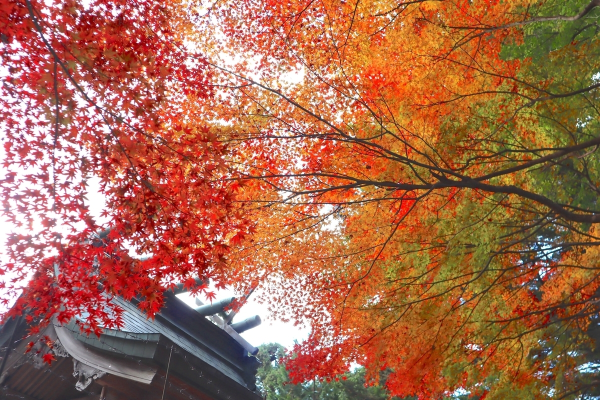 これから見頃！ 福島県の「モミジが美しい穴場スポット」3選