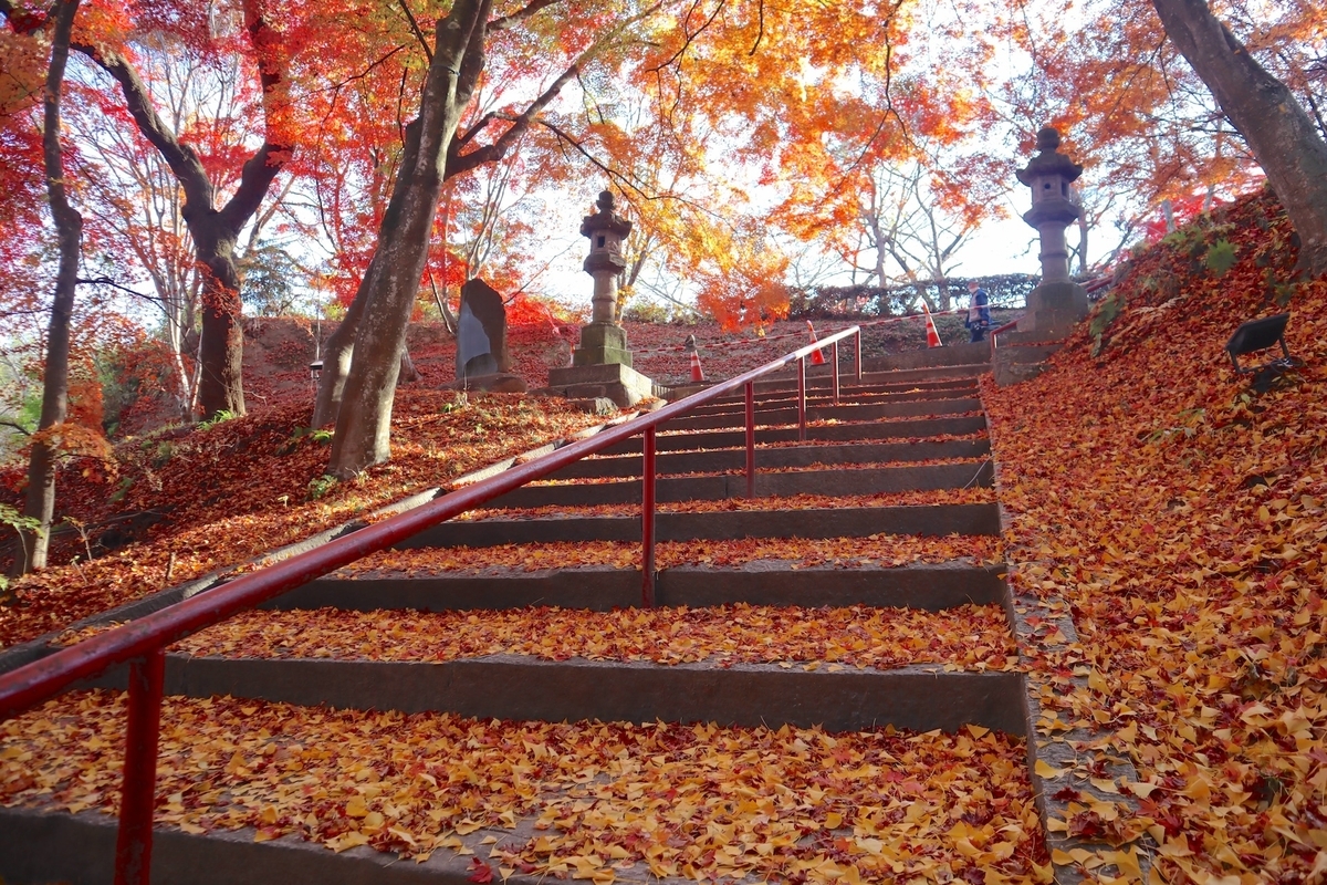 これから見頃！ 福島県の「モミジが美しい穴場スポット」3選