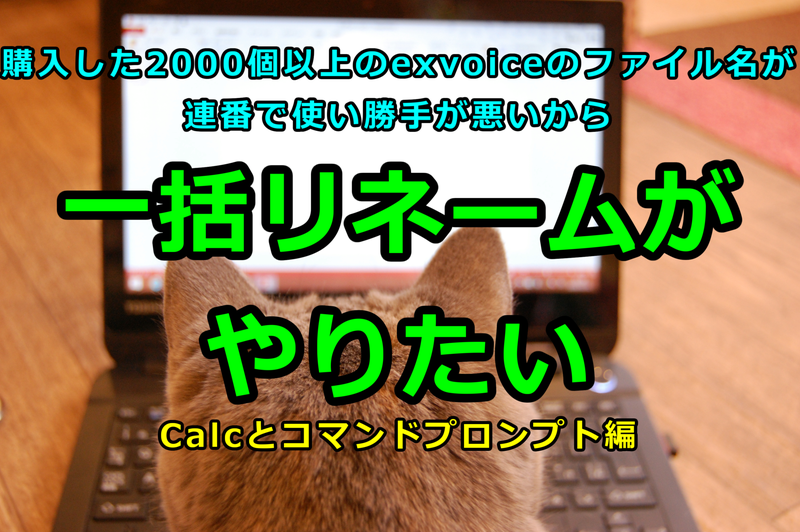 コメント前にプロフィール必ず必読 2025年版 全体設定：プロフィール/メール/各種設定】リザストの歩く