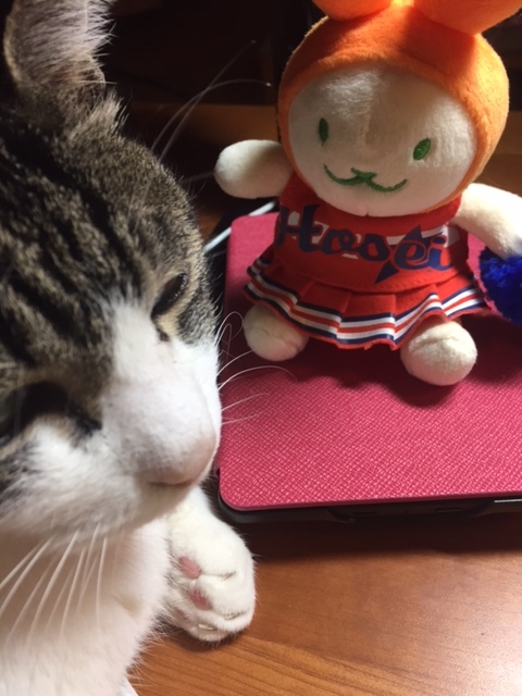 f:id:gothefulldistance:20170413223405j:plain