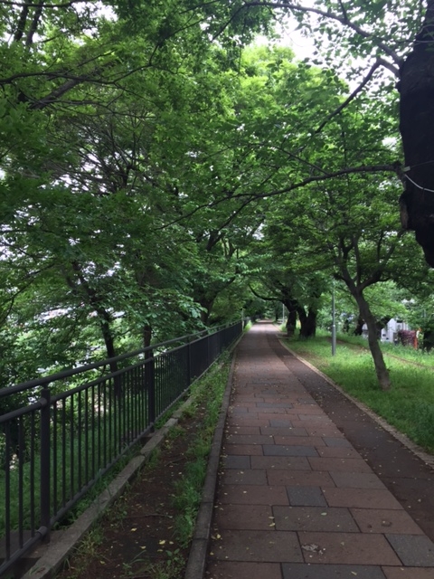 f:id:gothefulldistance:20170514162944j:plain