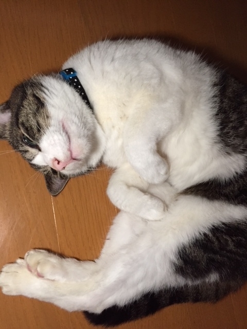 f:id:gothefulldistance:20171101102705j:plain