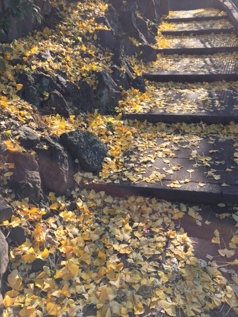 f:id:gothefulldistance:20171210145434j:plain