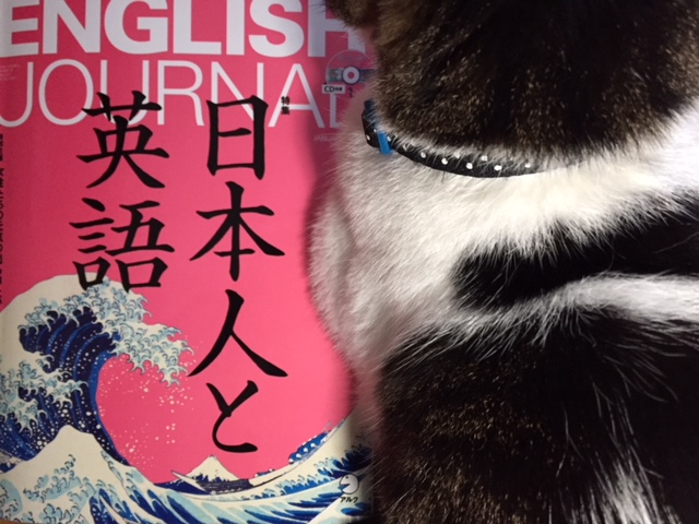 f:id:gothefulldistance:20180107205217j:plain