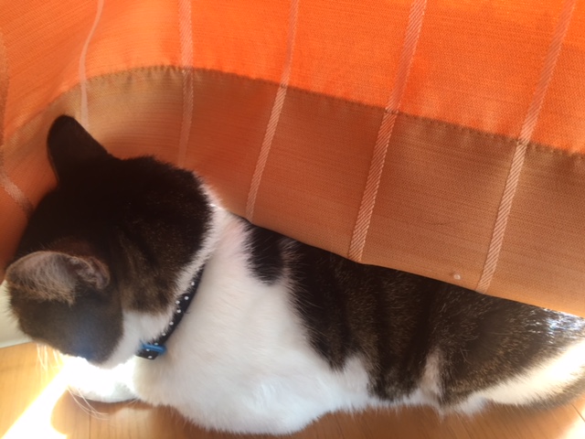 f:id:gothefulldistance:20180401082201j:plain