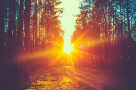 f:id:goto-running:20170204014211j:plain f:id:goto-running:20170204014211j:plain