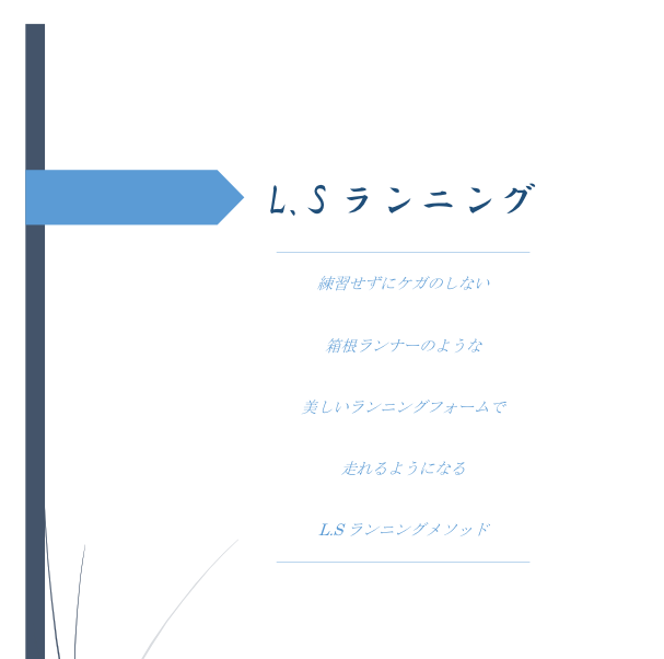 f:id:goto-running:20170325001628p:plain f:id:goto-running:20170325001628p:plain