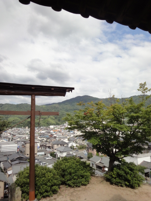イメージ 6