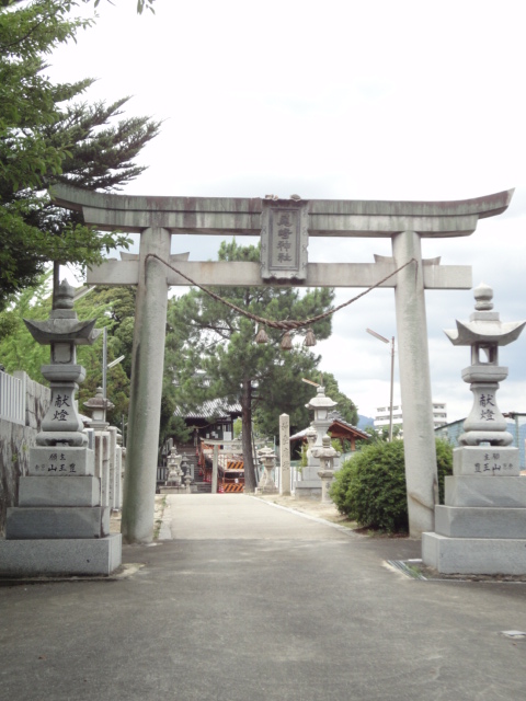 イメージ 7