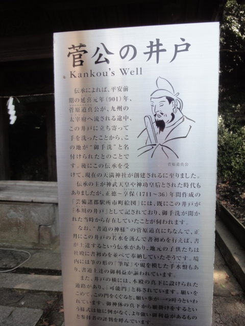 イメージ 7