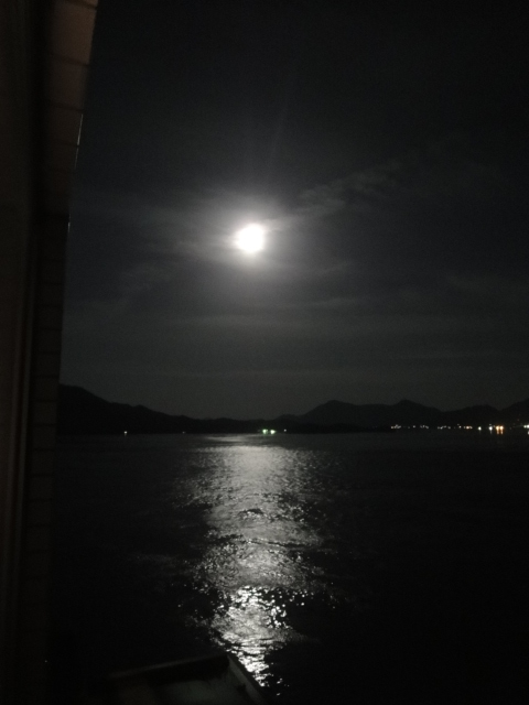 イメージ 8