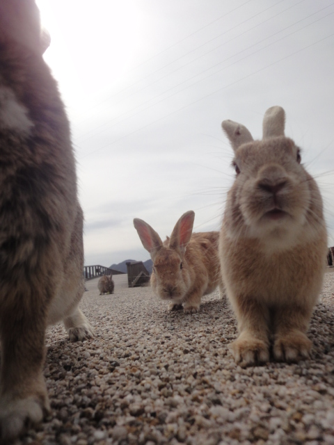 イメージ 3