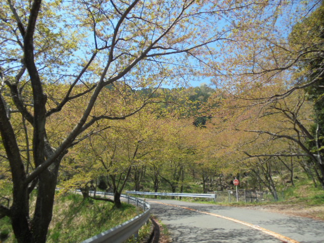 イメージ 4
